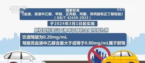 2025澳门最精准正最精准龙门,探索澳门未来，2025年最精准的发展蓝图与龙门之变